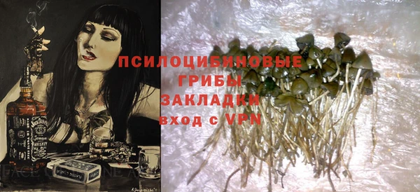 прущий лед Белокуриха