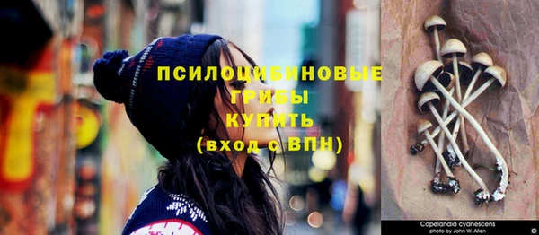 амф Михайловск