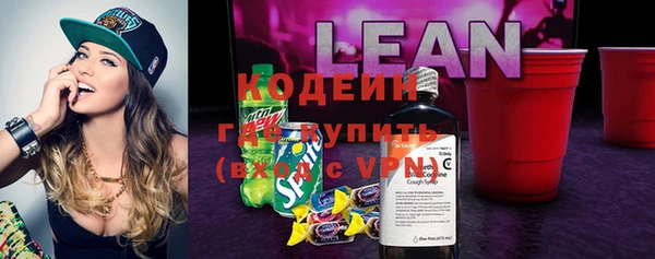 прущие грибы Михайлов